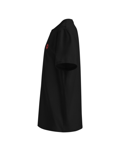 Camiseta de algodón orgánico hombre CA-301 /0100
