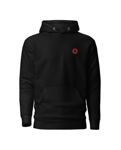 Men's hooded sweatshirt SP-401/0100