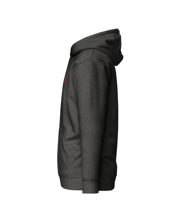 Men's hooded sweatshirt SP-401/0100
