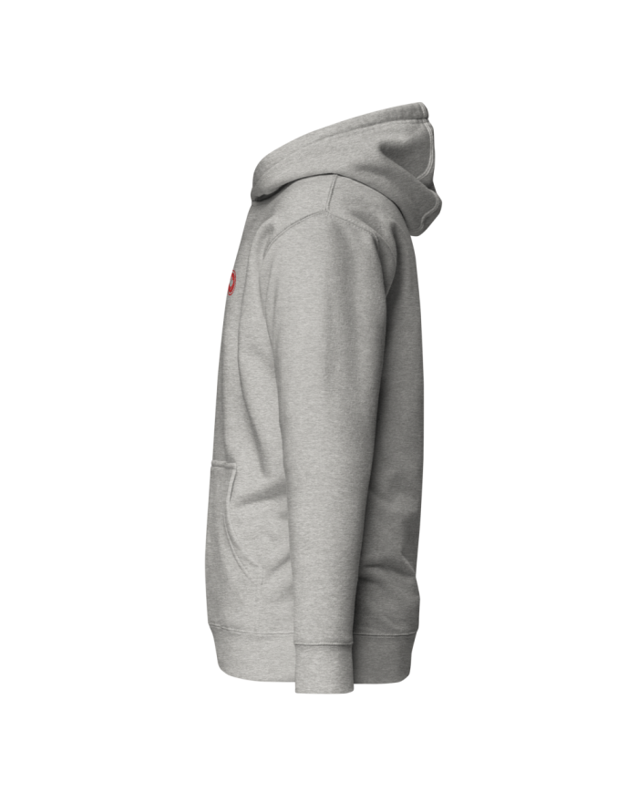 Men's hooded sweatshirt SP-401/0100
