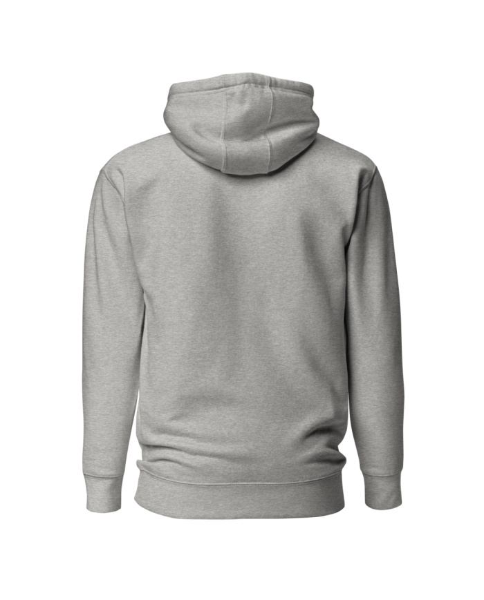 Men's hooded sweatshirt SP-401/0100