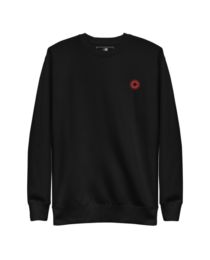 Men's thick sweatshirt SP-402/0100