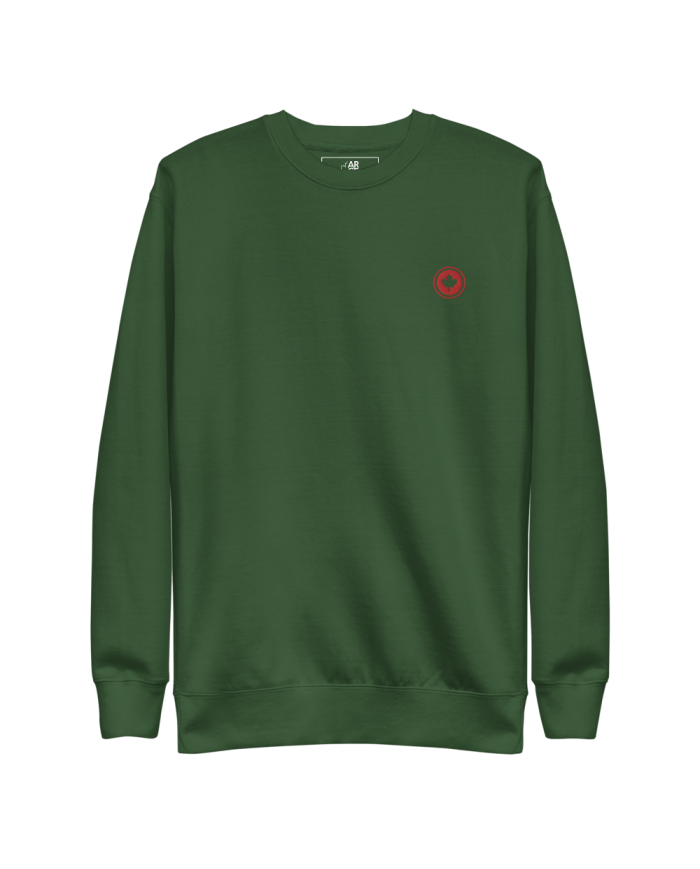 Men's thick sweatshirt SP-402/0100