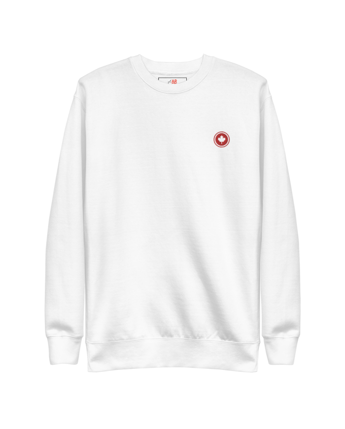 Men's thick sweatshirt SP-402/0100