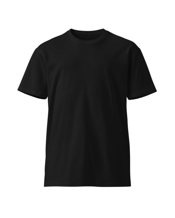 Men's premium T-shirt CP-303/0102