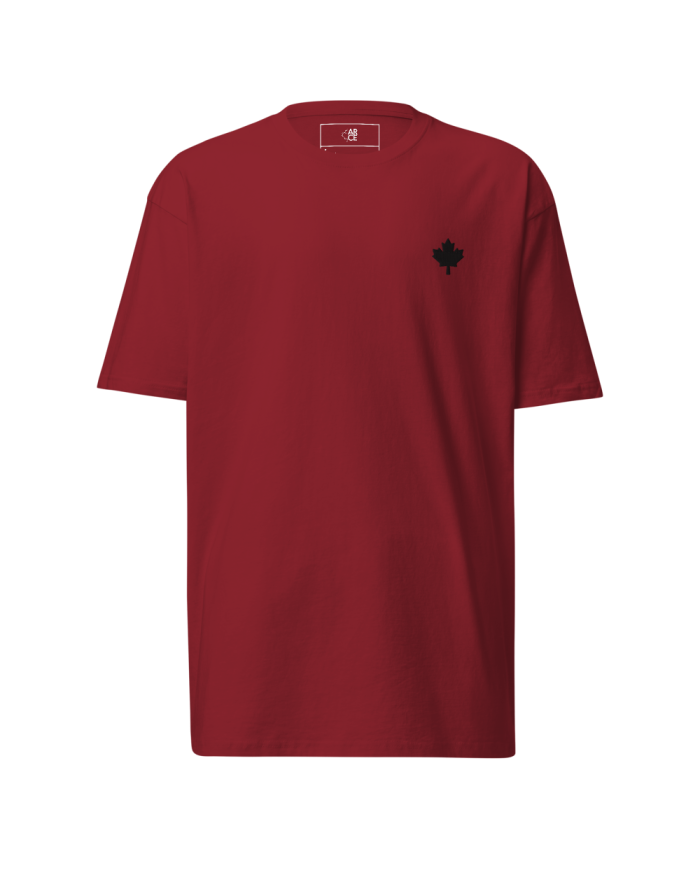 Men's thick T-shirt CG-307/0102
