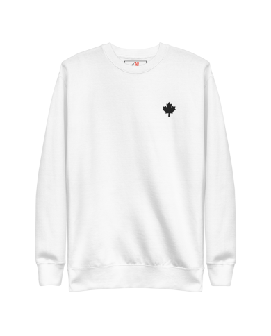 Sudadera gruesa Hombre SP-402/0102