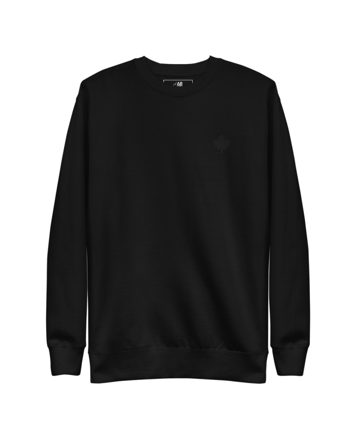 Men's thick sweatshirt SP-402/0102