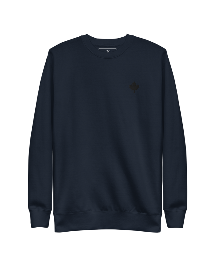Men's thick sweatshirt SP-402/0102