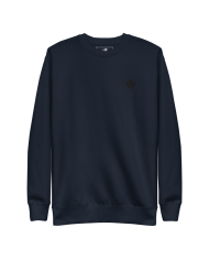 Men's thick sweatshirt SP-402/0102