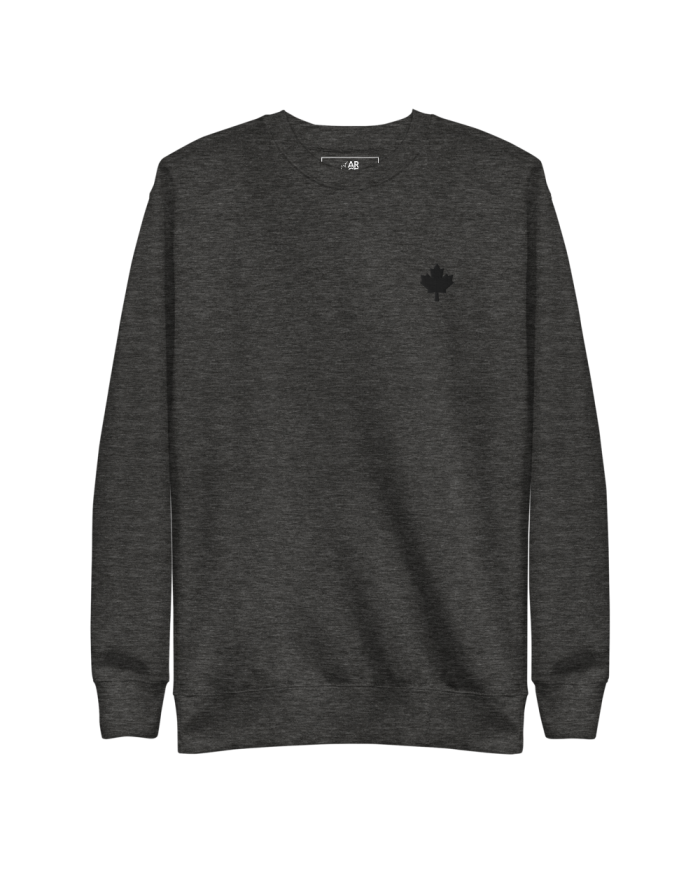 Sudadera gruesa Hombre SP-402/0102