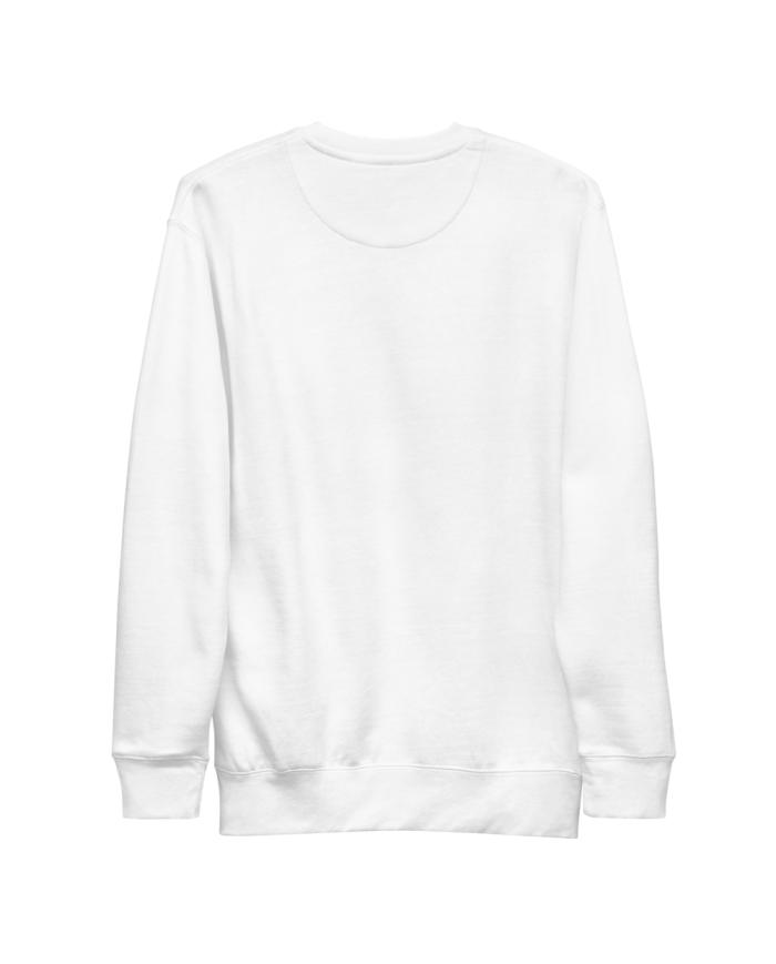 Men's thick sweatshirt SP-402/0102