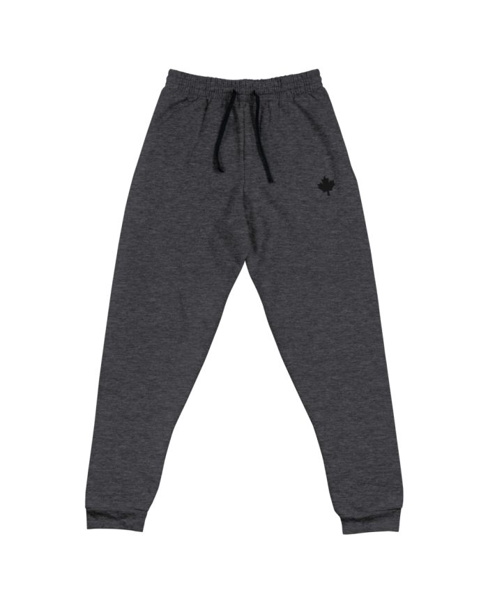 Men's jogger pants PD-602/0102