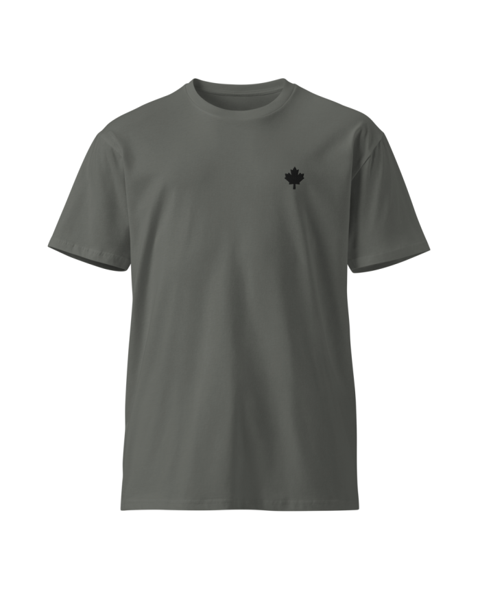 Camiseta premium Mujer CP-203/0102