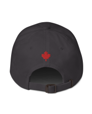 Cap dad hat GB-701/0100