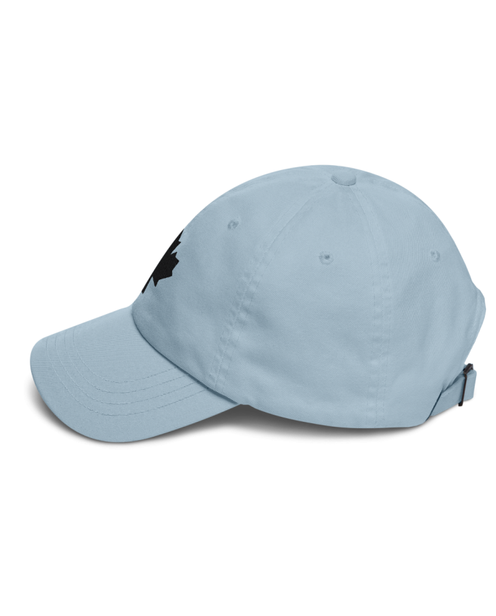 Gorra dad hat GB-701/0101