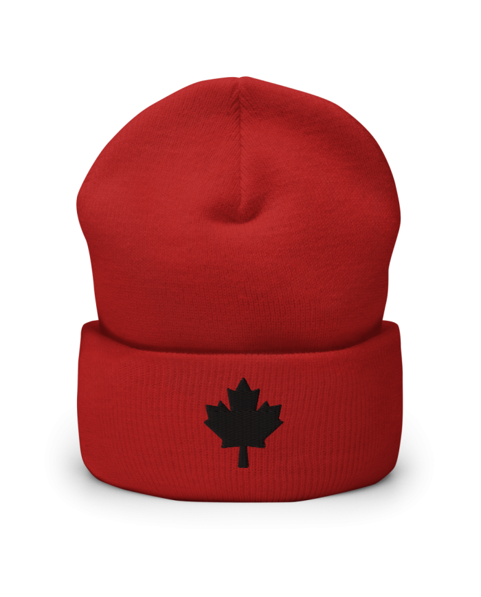 Gorro con borde vuelto GI-703/0101