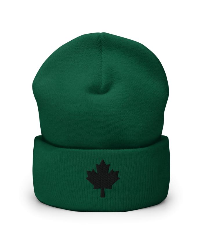 Gorro con borde vuelto GI-703/0101