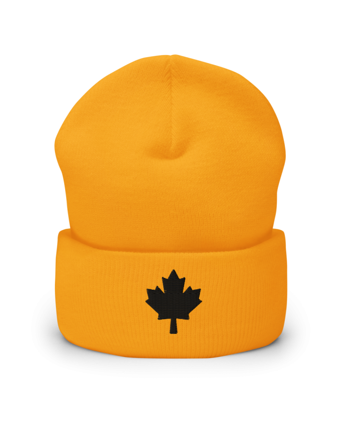 Gorro con borde vuelto GI-703/0101