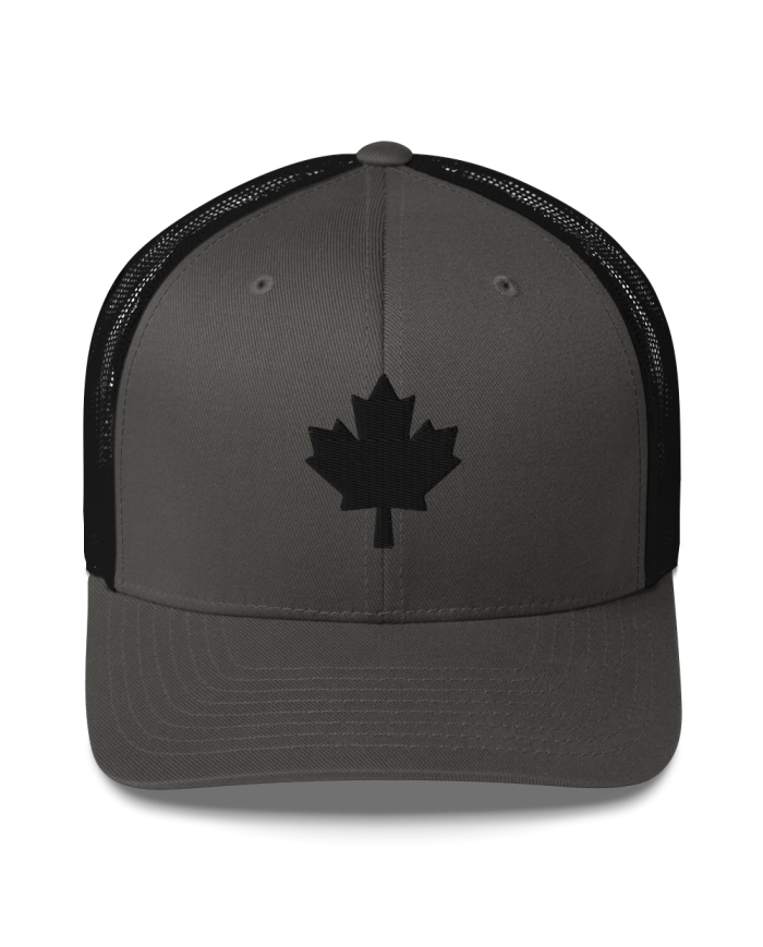 Gorra tipo trucker GT-704/0101