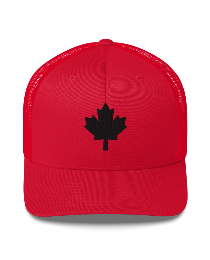 Gorra tipo trucker GT-704/0101