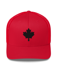 Gorra tipo trucker GT-704/0101